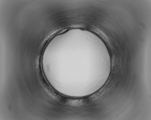 X0000113010155200909241359
