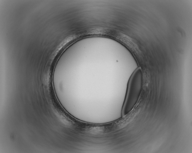 X0000113010156200909241359