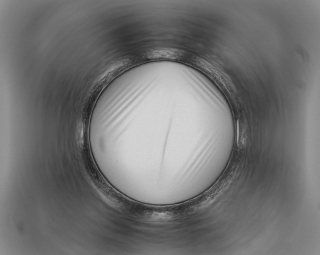X0000113010157200909241359