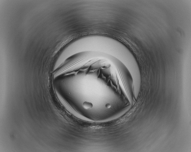 X0000113010158200909241359