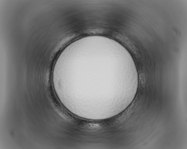 X0000113010159200909241359