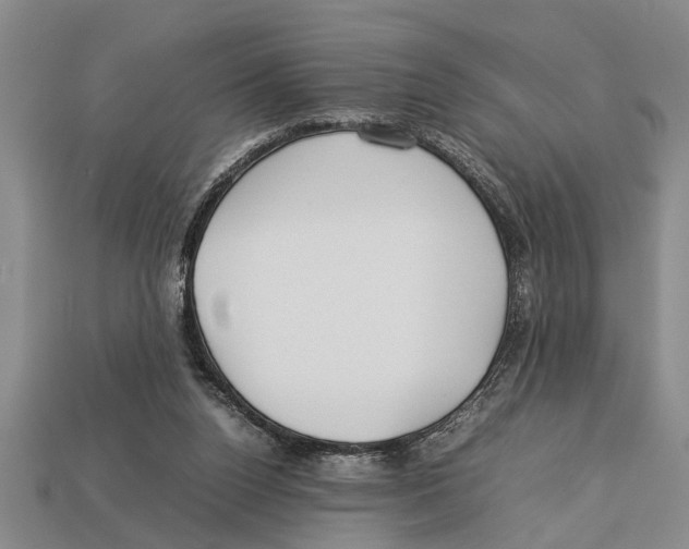 X0000113010160200909241359