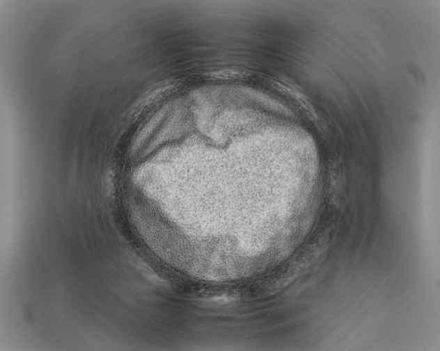 X0000113010161200909241359