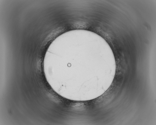 X0000113010162200909241359