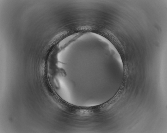 X0000113010163200909241359