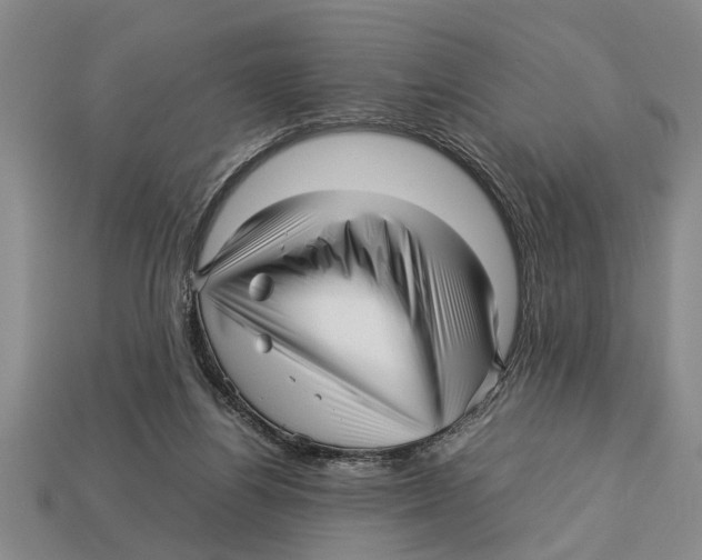 X0000113010164200909241359