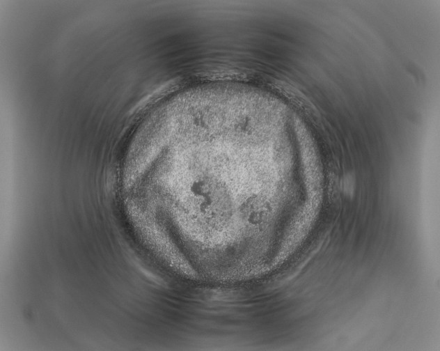 X0000113010165200909241359