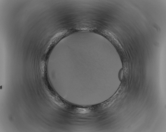 X0000113010167200909241359