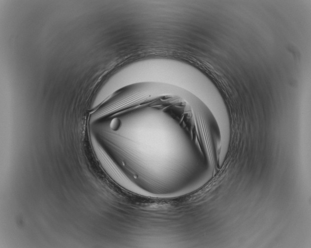 X0000113010168200909241400