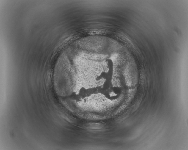 X0000113010169200909241400