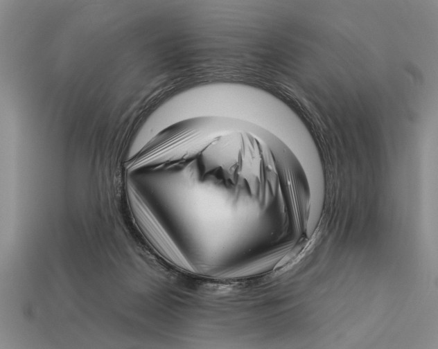 X0000113010170200909241400