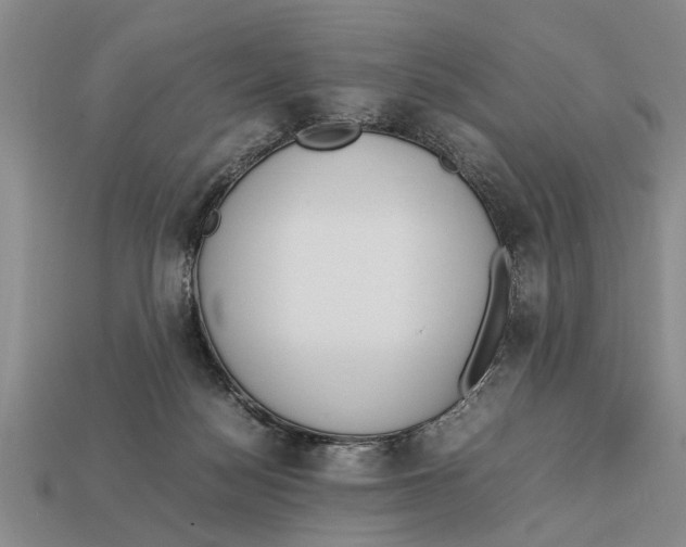 X0000113010172200909241400