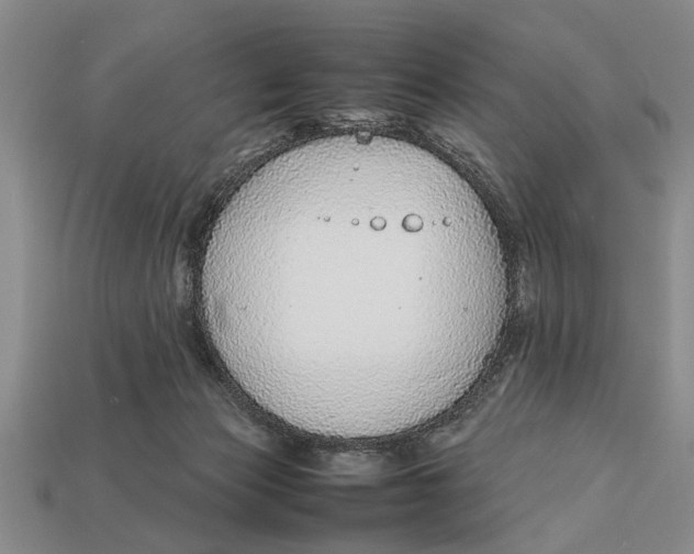X0000113010173200909241400