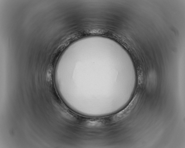 X0000113010175200909241400