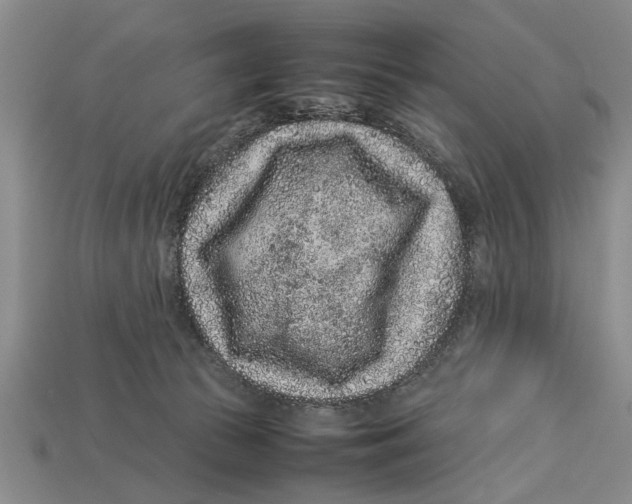 X0000113010177200909241400