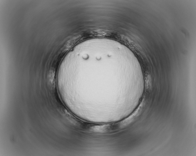 X0000113010178200909241400