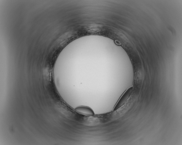 X0000113010180200909241400