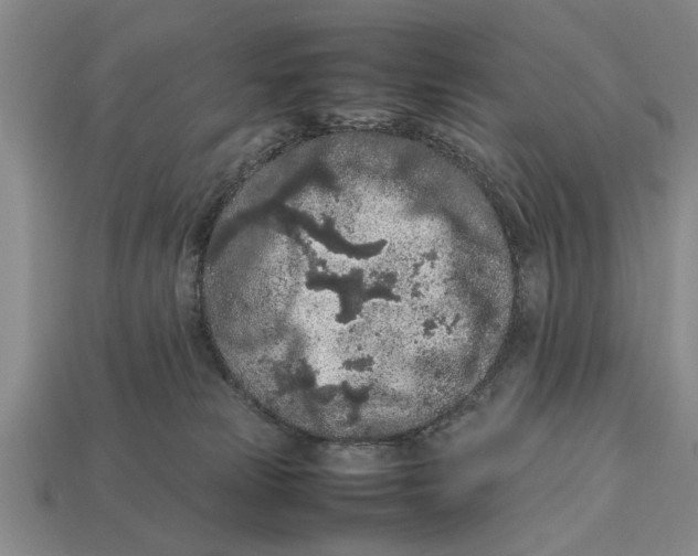 X0000113010181200909241400