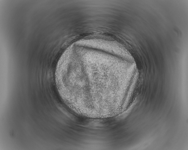 X0000113010182200909241400