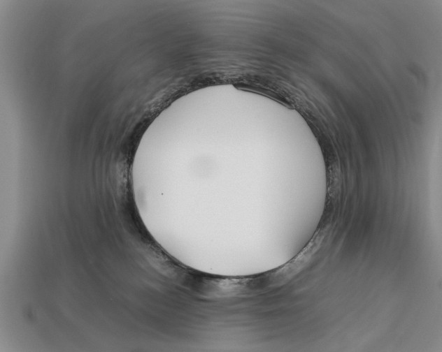 X0000113010184200909241400