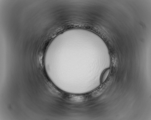 X0000113010185200909241400