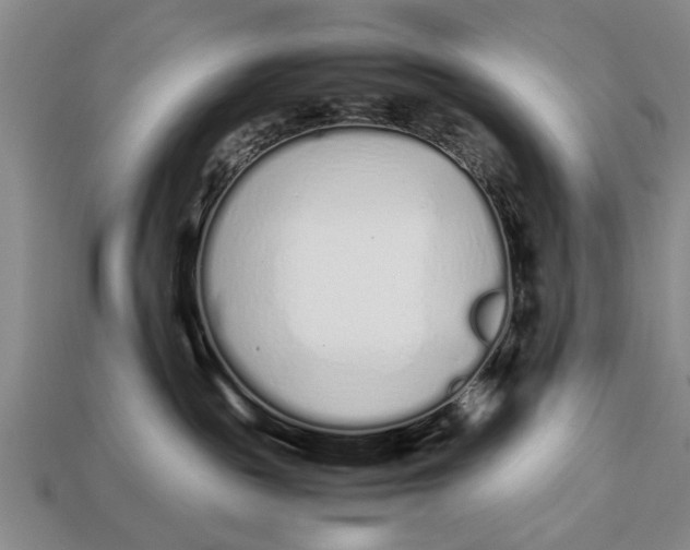 X0000113010189200909241400