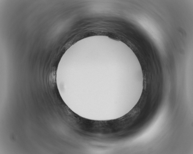 X0000113010190200909241400