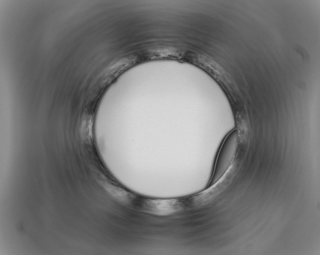 X0000113010191200909241400