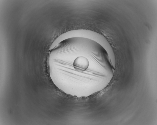 X0000113010192200909241400