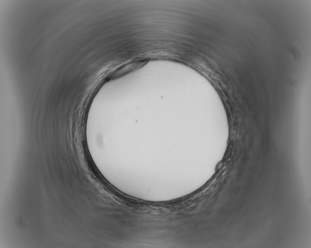 X0000113010193200909241359