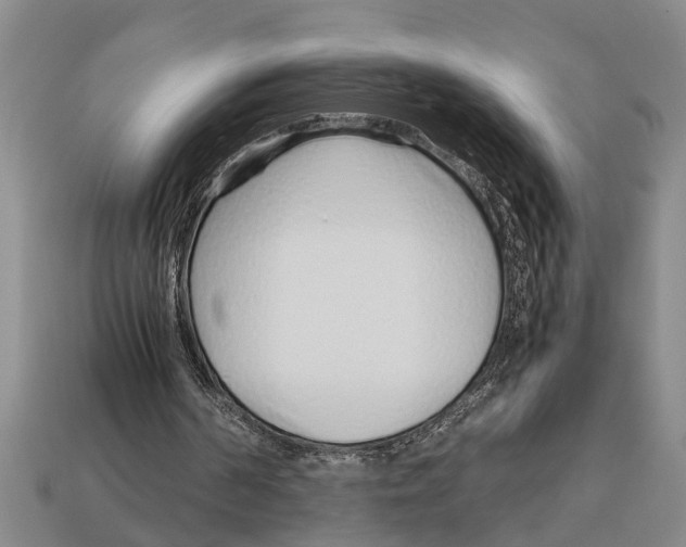 X0000113010194200909241359