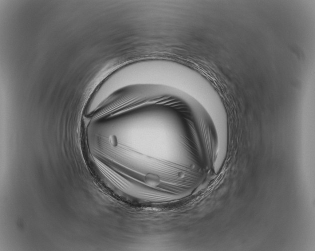 X0000113010195200909241359