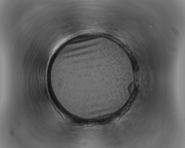 X0000113010196200909241359