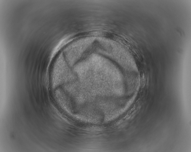 X0000113010198200909241359