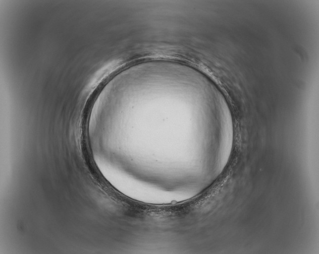X0000113010199200909241359