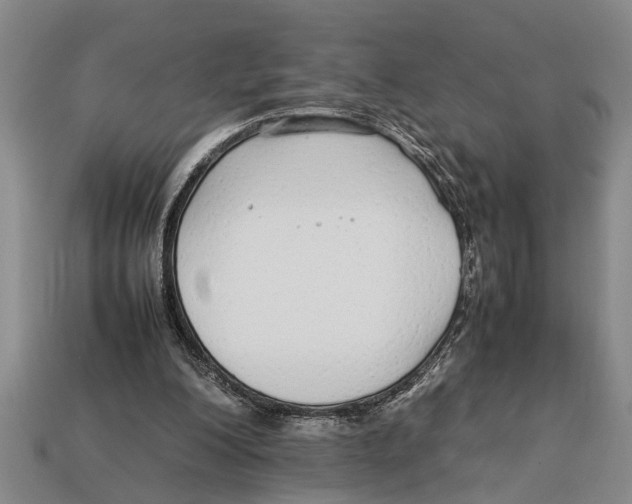 X0000113010200200909241359