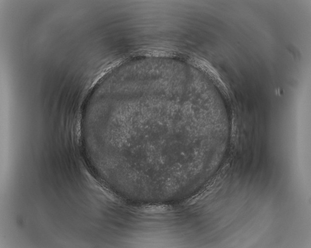 X0000113010202200909241359