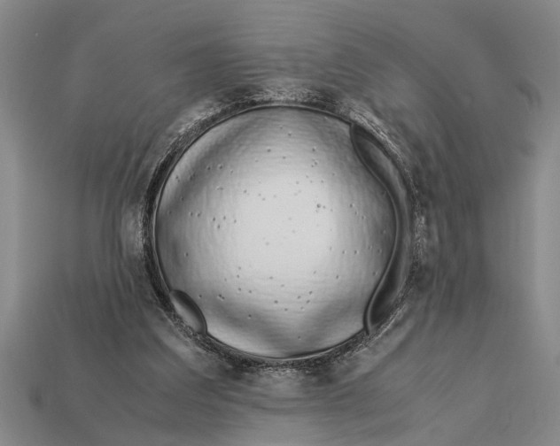 X0000113010203200909241359