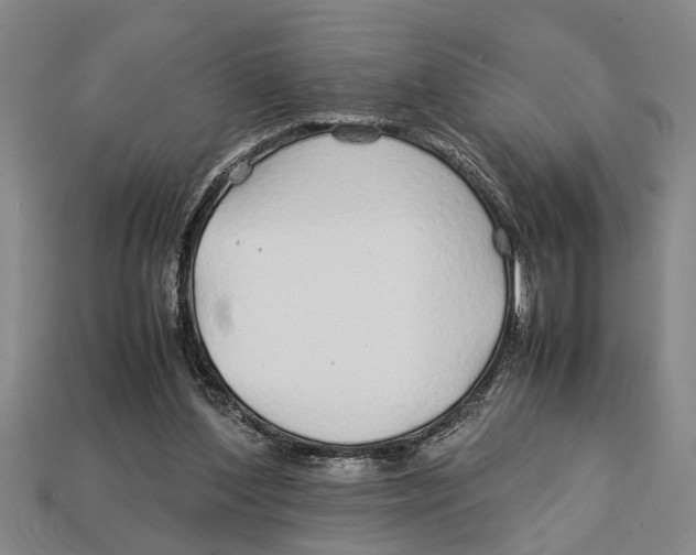 X0000113010204200909241359