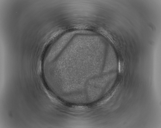 X0000113010205200909241359
