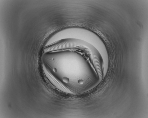 X0000113010207200909241359