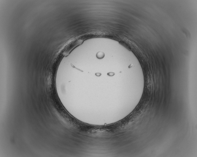 X0000113010208200909241359
