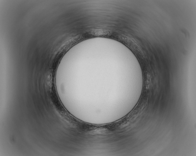 X0000113010210200909241359