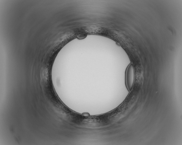 X0000113010211200909241359
