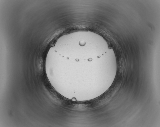 X0000113010212200909241359