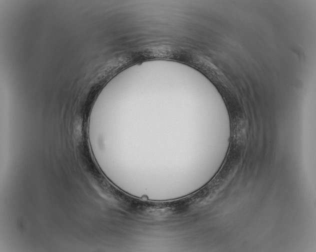 X0000113010213200909241359