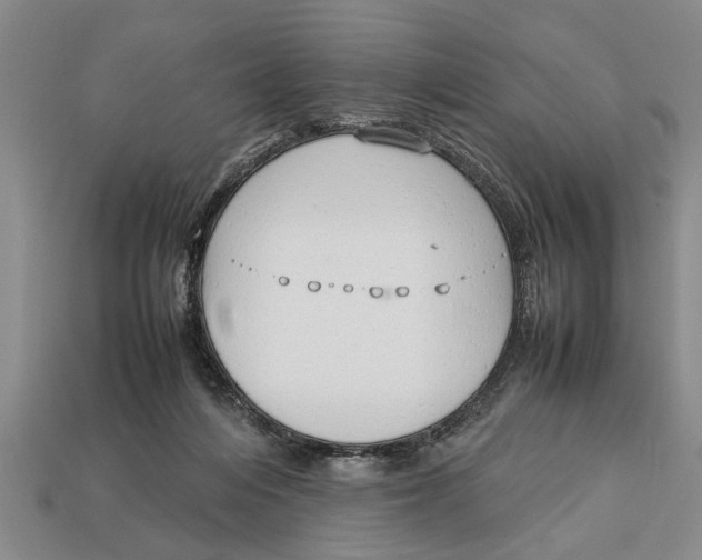 X0000113010216200909241359