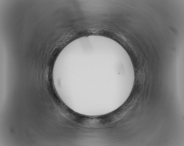 X0000113010217200909241359