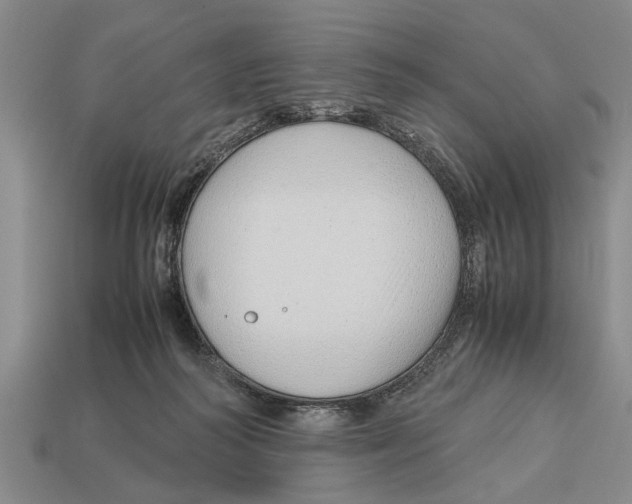 X0000113010218200909241359