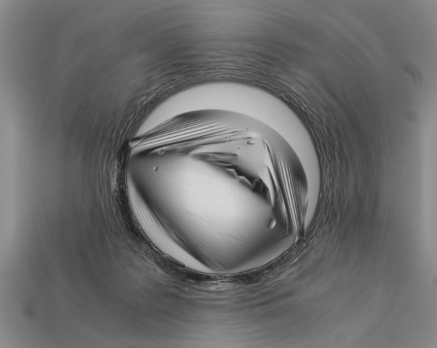 X0000113010219200909241359